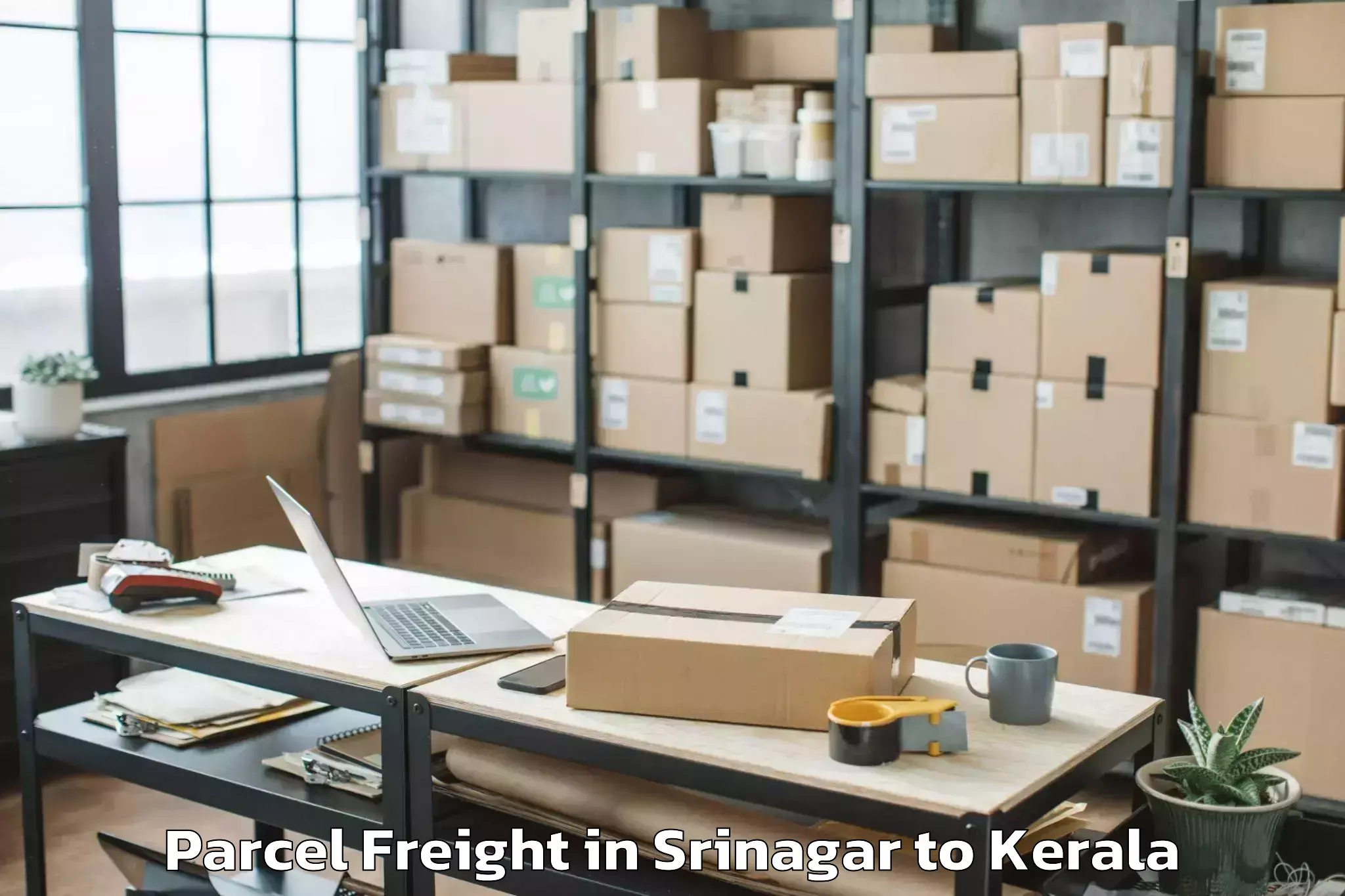 Affordable Srinagar to Kochi Parcel Freight